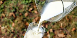 Advierten que desaparecerán todas las ganaderías de leche de la provincia de Guadalajara leche