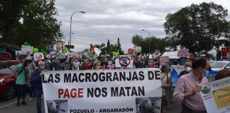 Cientos de personas exigen una moratoria a la ganadería industrial