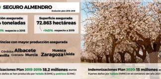 Almendro y pistacho ganan peso dentro del seguro agrario