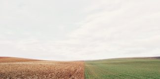 Nace un proyecto que investigará los efectos del manejo agrícola de los suelos sobre su biodiversidad tierras