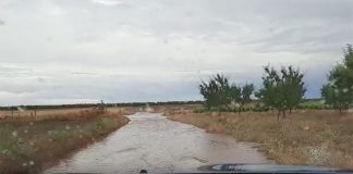 Las lluvias convirtieron en ríos los caminos de Argamasilla de Alba