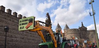 Tractorada de Unión de Uniones en Toledo para recuperar la productividad del olivar tras el temporal ‘Filomena’