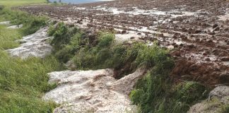 El granizo causa daños en los cultivos de Cuenca