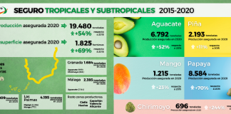 La producción asegurada de cultivos tropicales y subtropicales aumenta un 54% en cinco años