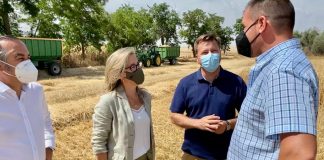 Califica de “indignante” la pasividad del Gobierno de Castilla-La Mancha ante la “desesperante” situación del campo