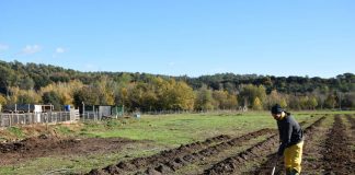 La huerta regenerativa absorbe hasta 30 veces más de CO2 al año que la convencional