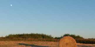 España vive la primavera más seca de los últimos quince años