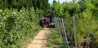 Estudiantes de la ETSIAM forman a alumnos del IES Tomás Navarro Tomás en educación ambiental