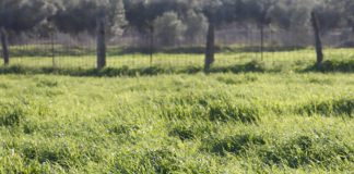 “Nuestro suelo agrícola, ese gran desconocido que debemos proteger”
