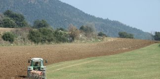 El Plan Renove de maquinaria agraria permitirá achatarrar tractores de más de 40 años sin estructura de protección homologada tractor