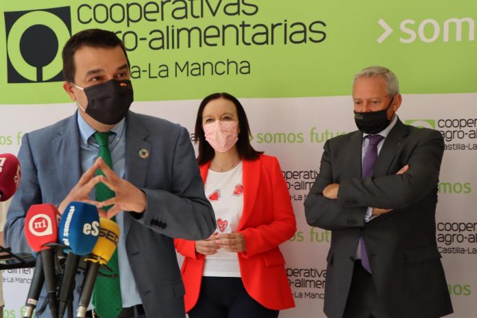 consejero cooperativas