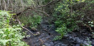 El Plan Hidrológico 2022-2027 de la Demarcación Hidrográfica del Guadiana destaca la problemática del Alto Guadiana