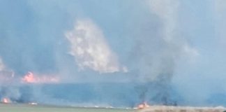 ¿La España rural se despoblará o arderá antes? Antonio Gómez Olmos. Editor de agroclm incendio