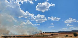 Agricultores colaboran en la extinción de un incendio forestal incendio
