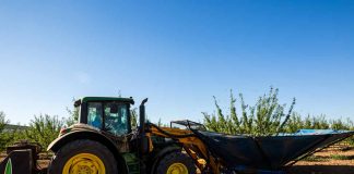 Comienza la recolección de la almendra con precios al alza recolección de almendra