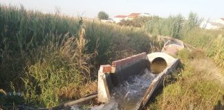 ASAJA Toledo pide que se levante la reducción a los regantes del Jarama