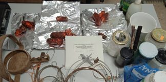 Un detenido y un investigado por la elaboración y colocación de cebos envenenados