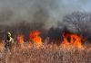 El Ministerio de Agricultura adjudica 27,8 millones en ayudas directas a 9.679 agricultores y ganaderos afectados por los grandes incendios forestales incendios