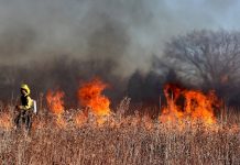 El Ministerio de Agricultura adjudica 27,8 millones en ayudas directas a 9.679 agricultores y ganaderos afectados por los grandes incendios forestales incendios