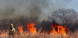 El Ministerio de Agricultura adjudica 27,8 millones en ayudas directas a 9.679 agricultores y ganaderos afectados por los grandes incendios forestales incendios