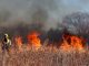 El Ministerio de Agricultura adjudica 27,8 millones en ayudas directas a 9.679 agricultores y ganaderos afectados por los grandes incendios forestales incendios