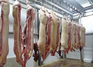 Insta a buscar alternativas a China para las exportaciones de carne de cerdo