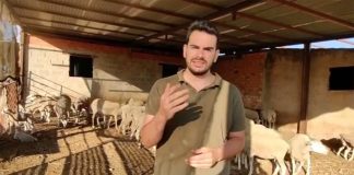 Nuevas Generaciones Castilla-La Mancha pondrá en marcha una campaña de apoyo al sector ganadero y cárnico