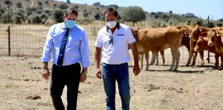 Núñez envía una carta a Page para que retire sus guías de consumo por atacar a los ganaderos