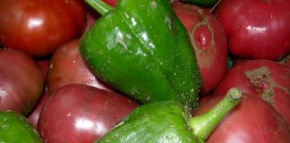 Moción en defensa, protección y promoción de la figura del “tomate de San Pablo”