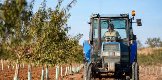 El Ministerio de Agricultura concede 914 hectáreas para nuevas plantaciones de viñedo viñas