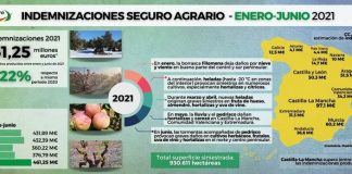 La convulsa meteorología del primer semestre de 2021 eleva las indemnizaciones previstas por Agroseguro