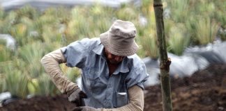 Echan en cara a Trabajo que siga poniendo al campo en el centro de la diana de sus inspecciones