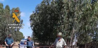 Un detenido y 47 investigados por transporte ilegal de ganado