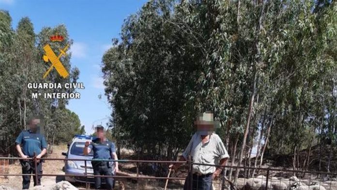 ganado-falsificacion-documental