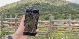 Agricultores y ganaderos podrán presentar la solicitud única de las ayudas de la PAC hasta el 31 de mayo