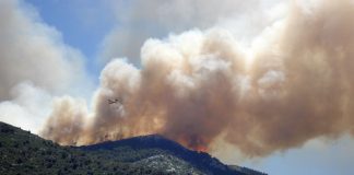 Pone en valor papel de agricultores y ganaderos en la lucha contra los incendios
