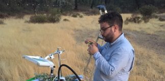 La plaga de ‘La seca’ puede ser detectada con dos años de antelación