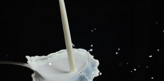 Alerta que el sector de vacuno de leche de España se hunde leche