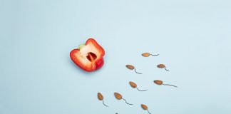 La mejor agencia de subrogación en Ucrania: ¿cómo encontrar una clínica de confianza?