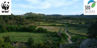 Lamentan que solo la mitad de los ecoesquemas de la PAC planteados serían útiles para lograr los objetivos ambientales suscritos por España