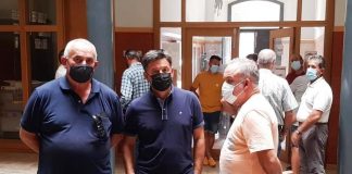 Garantizan normalidad en la vendimia de la Denominación de Origen Valdepeñas