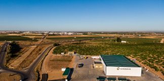 Almendrun comienza a comprar almendra de esta campaña en España y Portugal