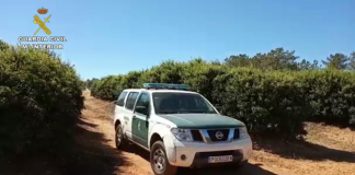 Reclama medidas urgentes para frenar los robos en las casetas de riego SEPRONA