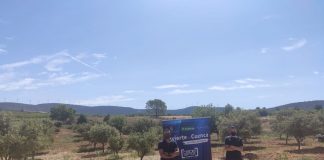 Apuesta por el cultivo de la trufa en la Serranía conquense