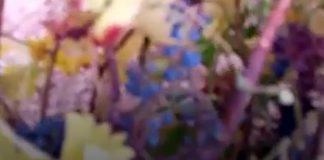 Vídeo. La ola de calor seca las uvas