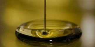 El aceite de oliva en origen empieza 2025 un 50 por ciento más barato que en la campaña anterior aceite de oliva