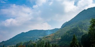 ¿Por qué China influye tanto en el mercado de granos?