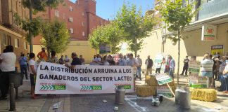 Califica de “insulto la irrisoria subida del precio de la leche” anunciada por Mercadona