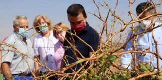 Castilla-La Mancha incrementará un 16% la financiación para los seguros agrarios en 2022