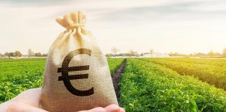 Fuentes de financiación para las empresas agrarias financiación agraria